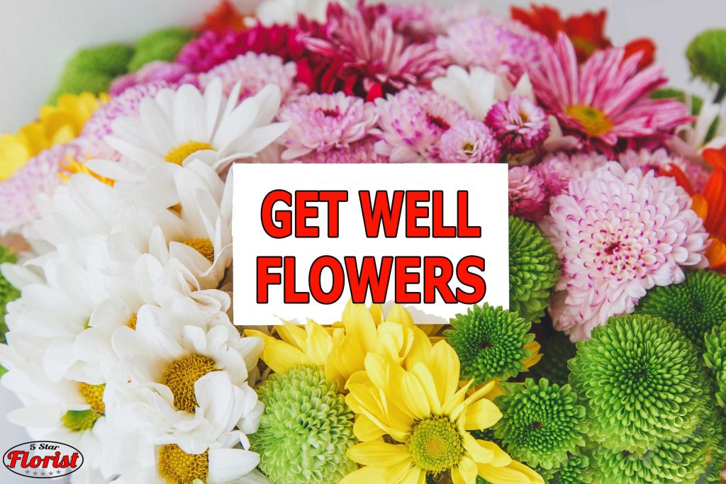 get-well-flowers Edmonton